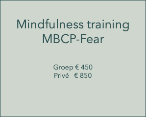  Mindfulness training MBCP-Fear Groep € 450 Privé € 850