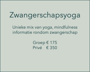  Zwangerschapsyoga Unieke mix van yoga, mindfulness informatie rondom zwangerschap Groep € 175 Privé € 350